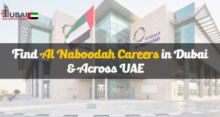 Al Naboodah Careers