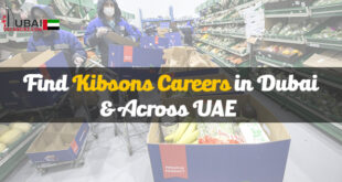 Kibsons Careers