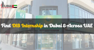 DIB Internship