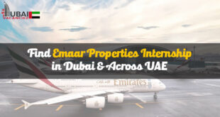 Emirates Group Internship