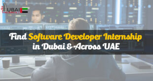 Software Developer Internship