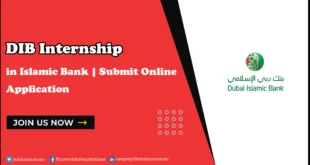 DIB Internship