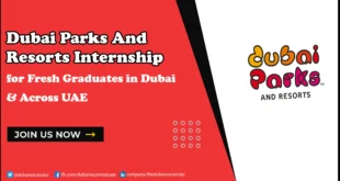 Dubai Parks and Resorts Internship