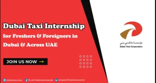 Dubai Taxi Internship