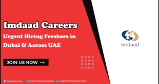 Imdaad Careers