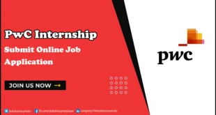 PWC Internship